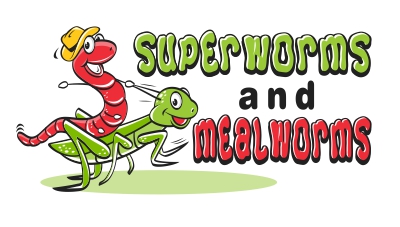SuperwormsMealworms.jpg
